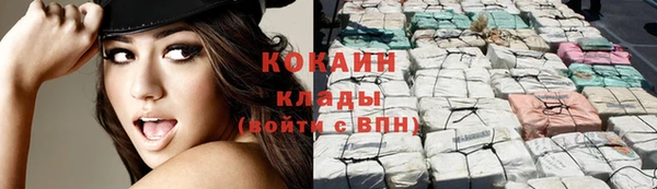 стафф Богородицк