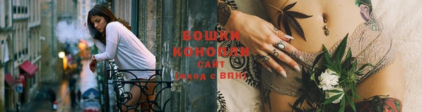 стафф Богородицк