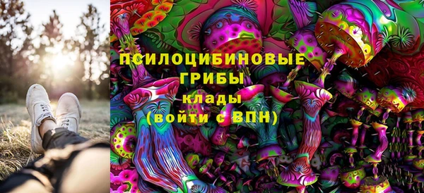 стафф Богородицк