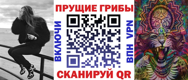 Псилоцибиновые грибы Cubensis  купить закладку  Белорецк 